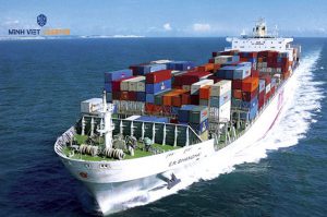 Vận chuyển hàng hóa bằng đường biển tại Minh Việt Logistics