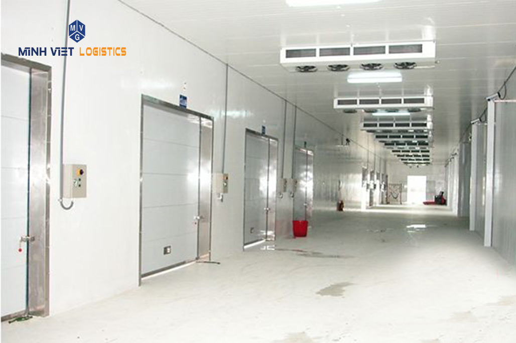 Khi thuê kho lạnh của Minh Việt Logistics với đầy đủ dịch vụ tiện nghi