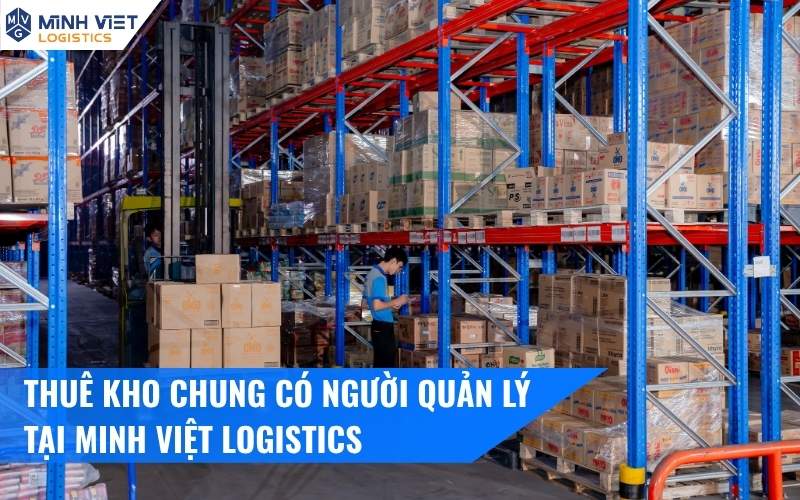 Thuê Kho Chung Có Người Quản Lý Tại Minh Việt Logistics