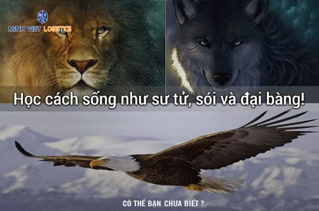 Bài học sương máu về loài sói, sư tử và đại bàng