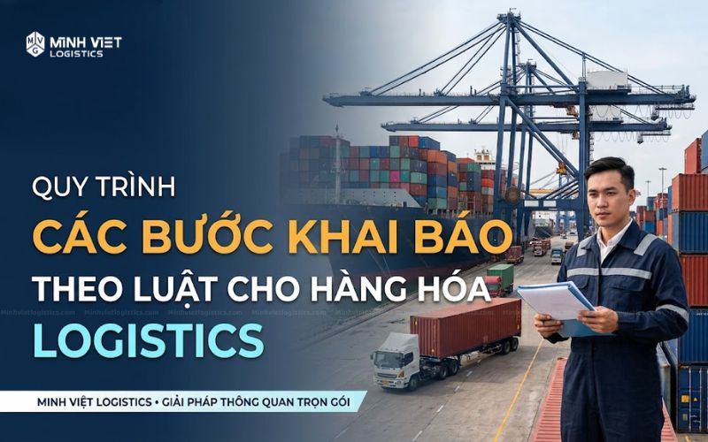 Các Bước Khai Báo Theo Luật Cho Hàng Hóa Logistics