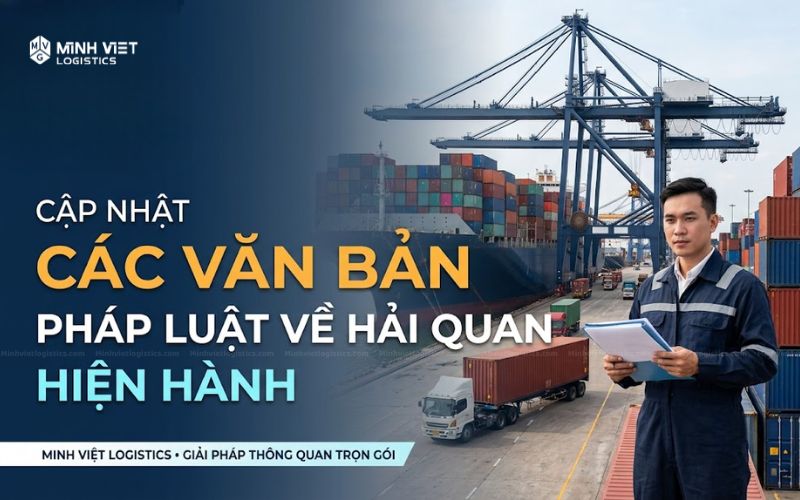 Cập Nhật Quy Định Luật Và Thủ Tục Thông Quan Logistics