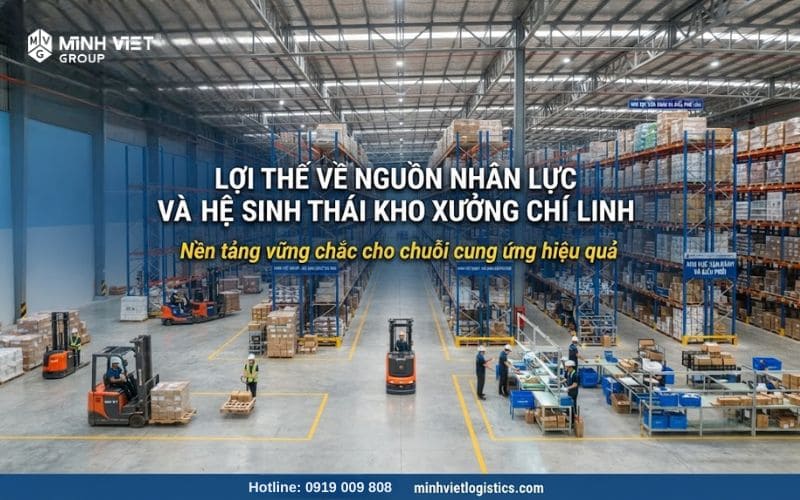 Lợi Thế Về Nguồn Nhân Lực Và Hệ Sinh Thái Kho Xưởng Chí Linh