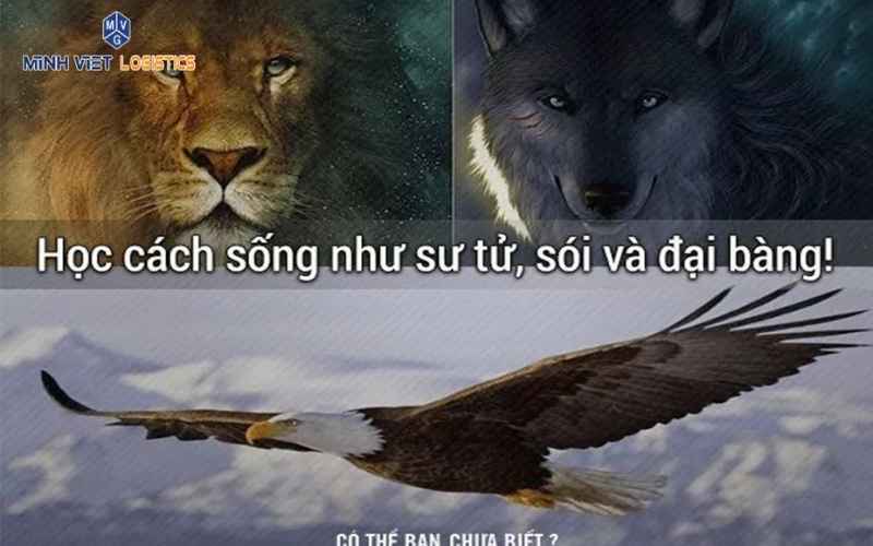 LÀM LÃNH ĐẠO HIÊN NGANG NHƯ SƯ TỬ VÀ TRÍ NHÂN NHƯ LOÀI SÓI